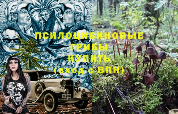гидропоника Новокубанск