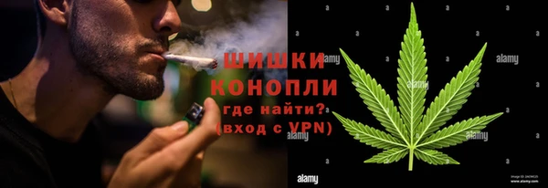 гашик Новодвинск