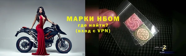 гашик Новодвинск