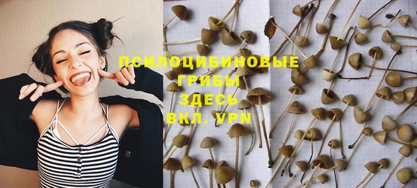 mdpv Нея