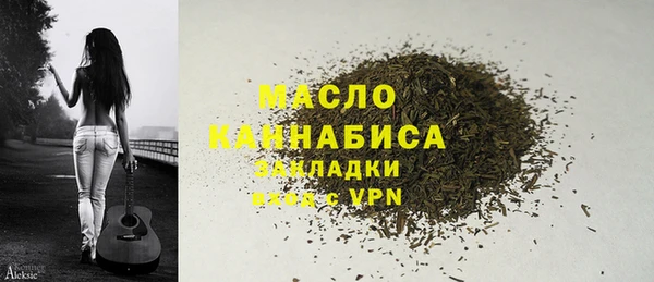мет Новозыбков