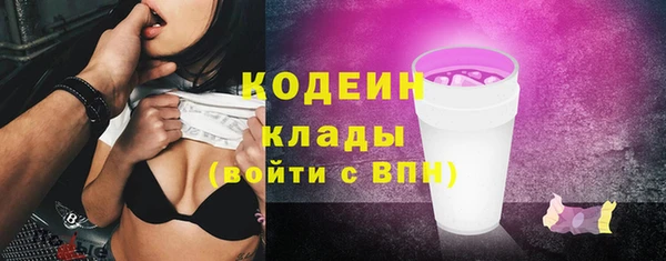 гашик Новодвинск