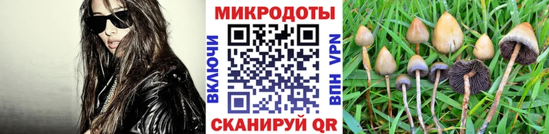 купить наркоту  Нязепетровск  блэк спрут ССЫЛКА  Псилоцибиновые грибы мухоморы 